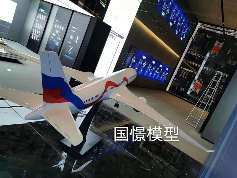 邵阳飞机模型